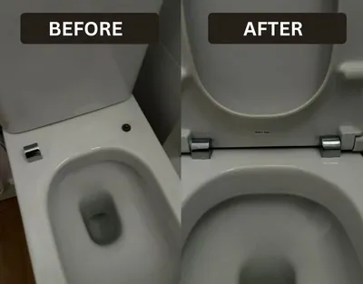 Toilet seat replacement — before and after